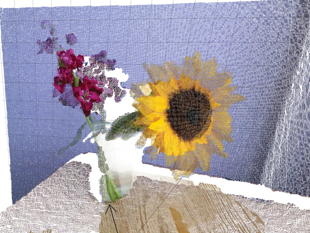 k staelin: kinect series: sunflower, blue background