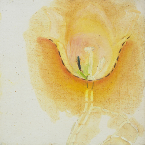k staelin: tulip iii