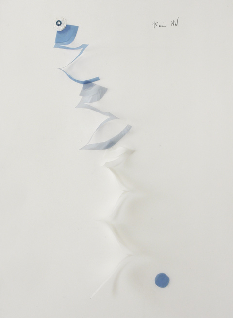 k staelin, 3/4 hr NW, 2009