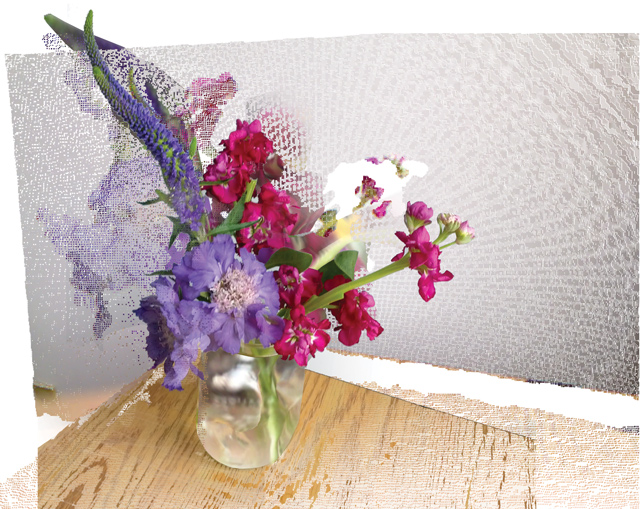 k staelin: kinect series: blue and pink flowers