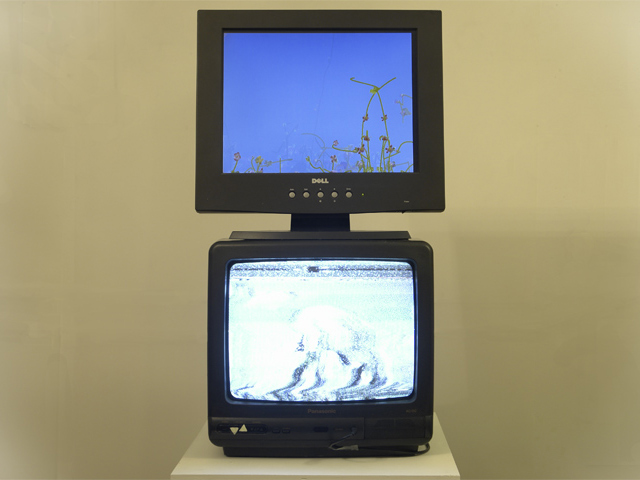 judsoN, k staelin, Compost, 2009